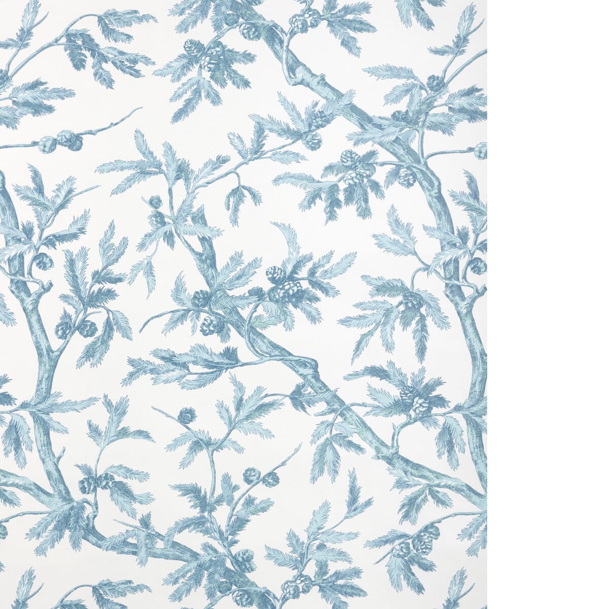 p8025100130-branches-de-pin-wc-aqua-brunschwig-fils - BRUNSCHWIG & FILS Wallpaper