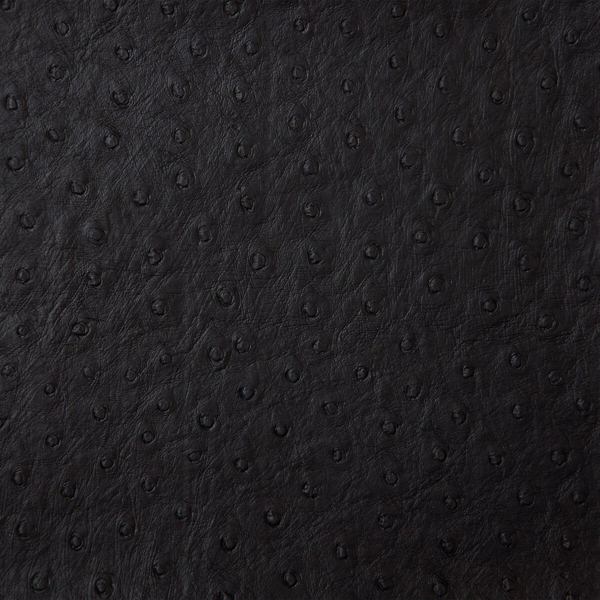 senna80-kravet-design-senna-8-kravet-design