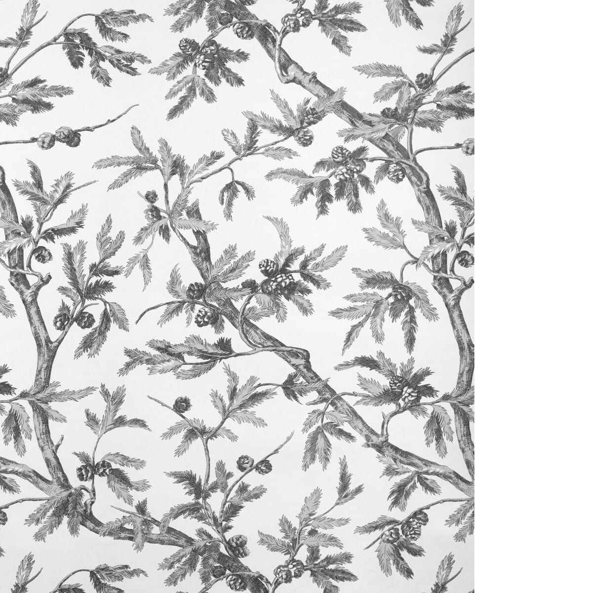 p80251001160-branches-de-pin-wc-grey-brunschwig-fils