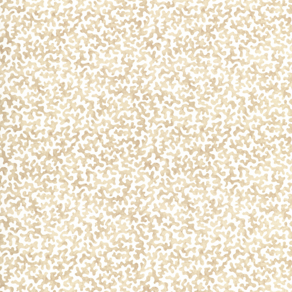 coralcoast1610-coralcoast-sand-kravet-basics