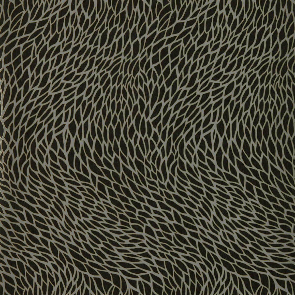w016602cac0-corallino-noir-wp-clarke-and-clarke - CLARKE AND CLARKE Wallpaper