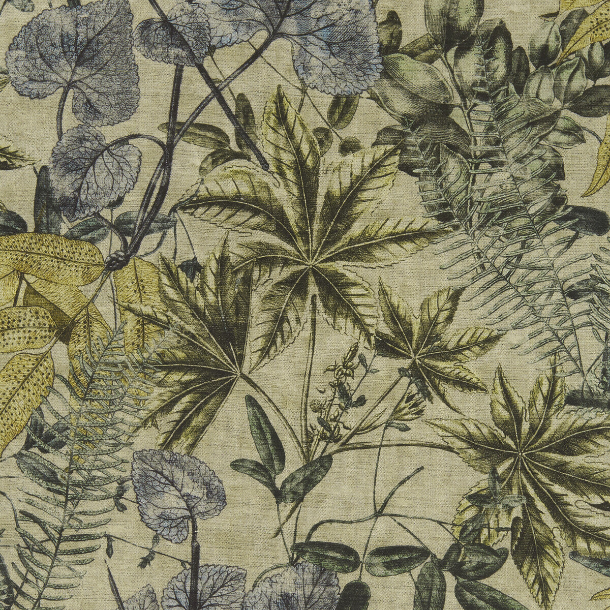f130103cac0-madagascar-mineralcitron-clarke-and-clarke