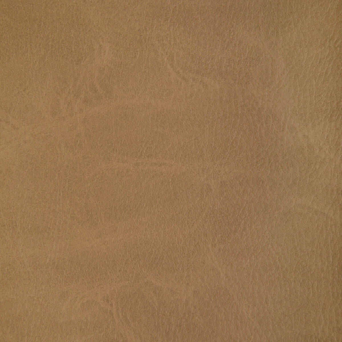 toni160-toni-moccasin-kravet-contract - KRAVET CONTRACT Fabric