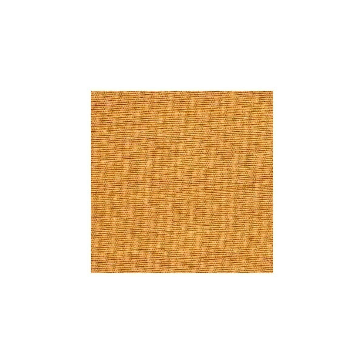 wss4542wt0-sisal-honey-winfield-thybony - WINFIELD THYBONY Wallpaper