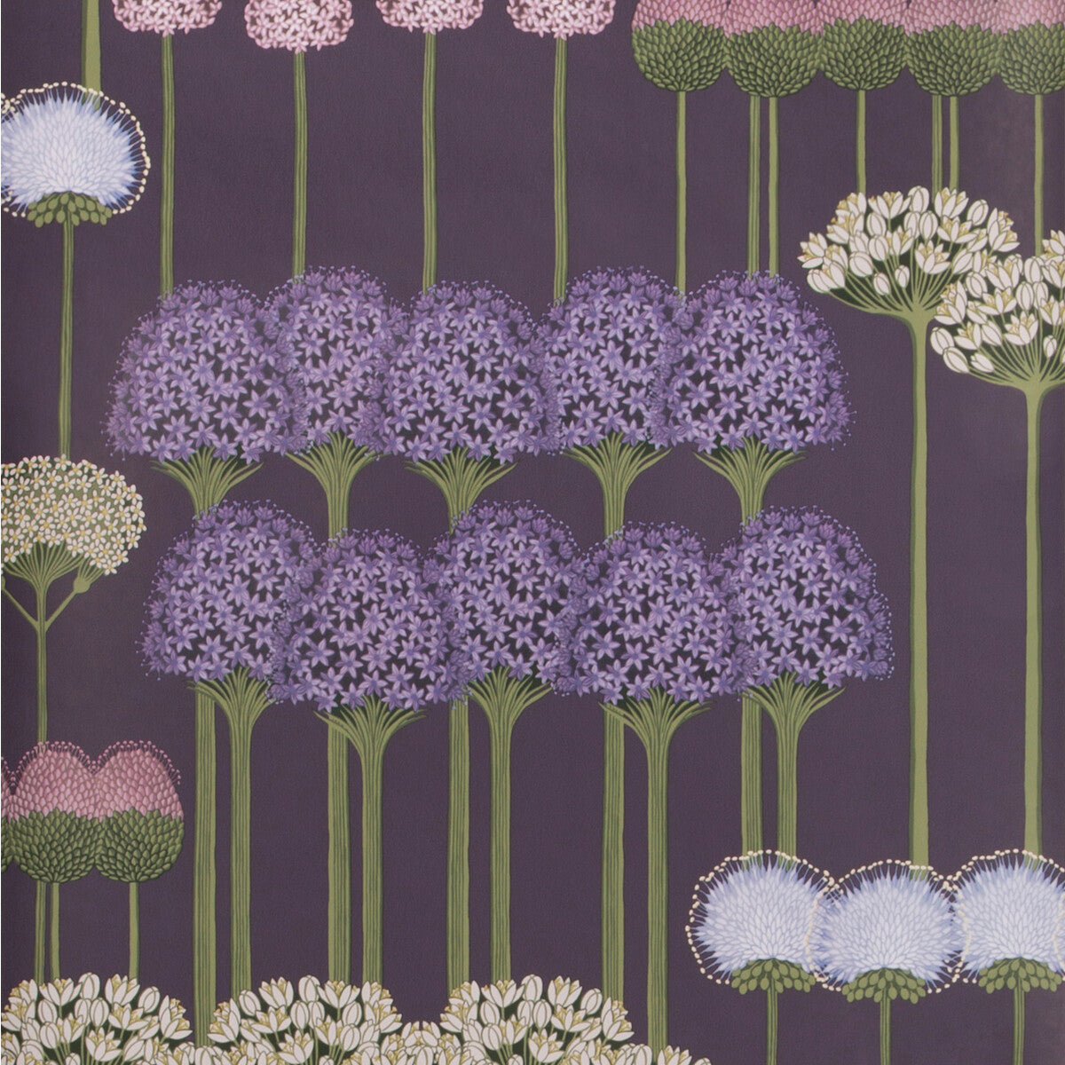 11512036cs0-allium-mulbheatherviolet-cole-son - COLE & SON Wallpaper