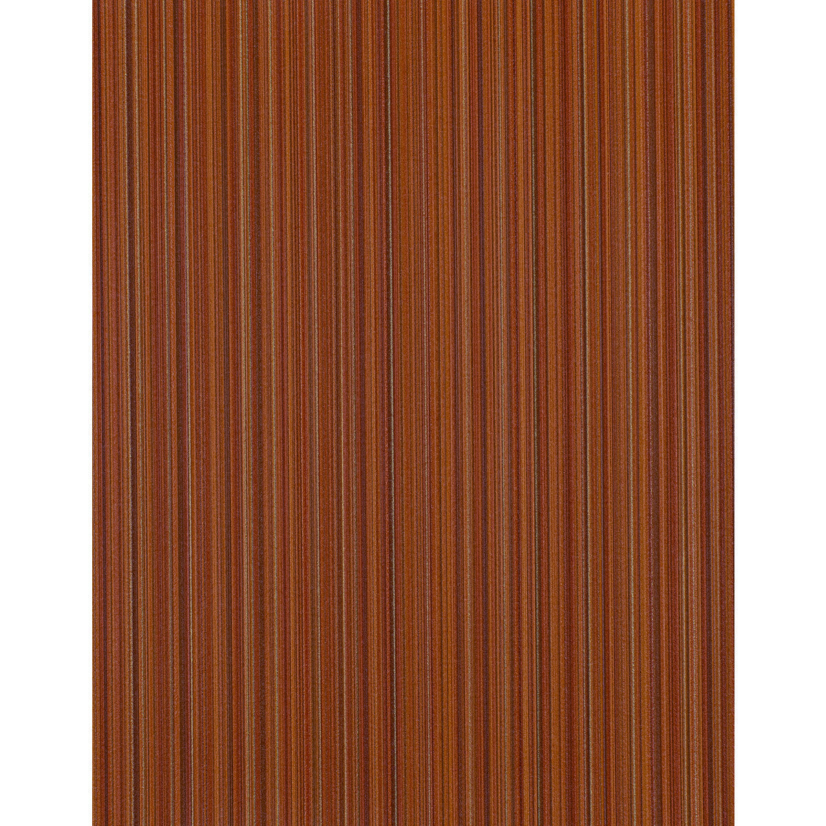 wdw2214wt0-bengal-mango-winfield-thybony - WINFIELD THYBONY Wallpaper