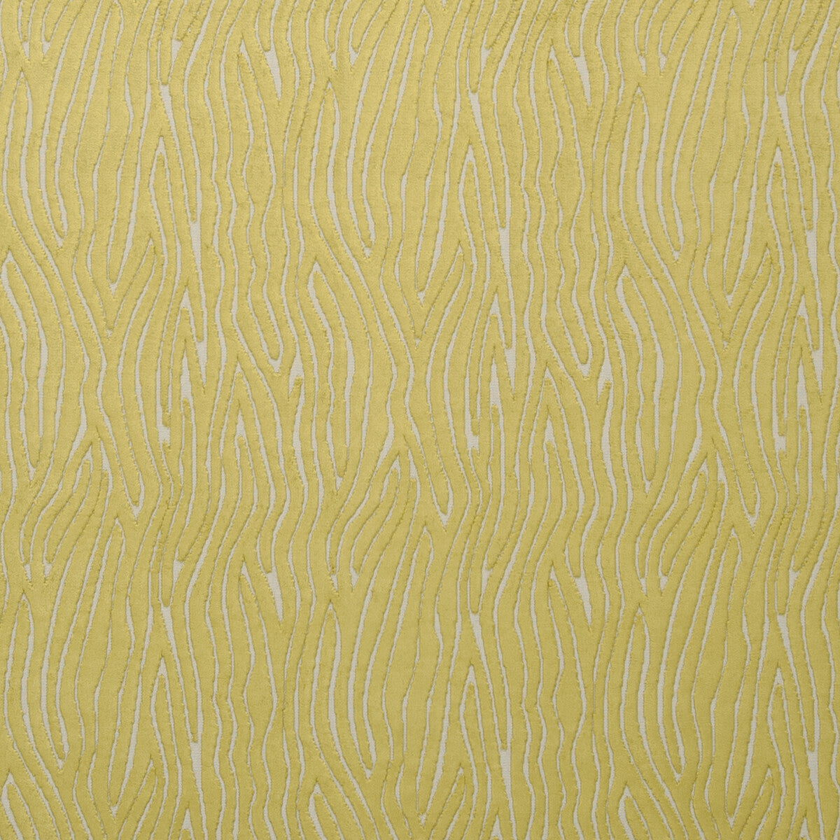 f074902cac0-onda-citrus-clarke-and-clarke - CLARKE AND CLARKE Fabric