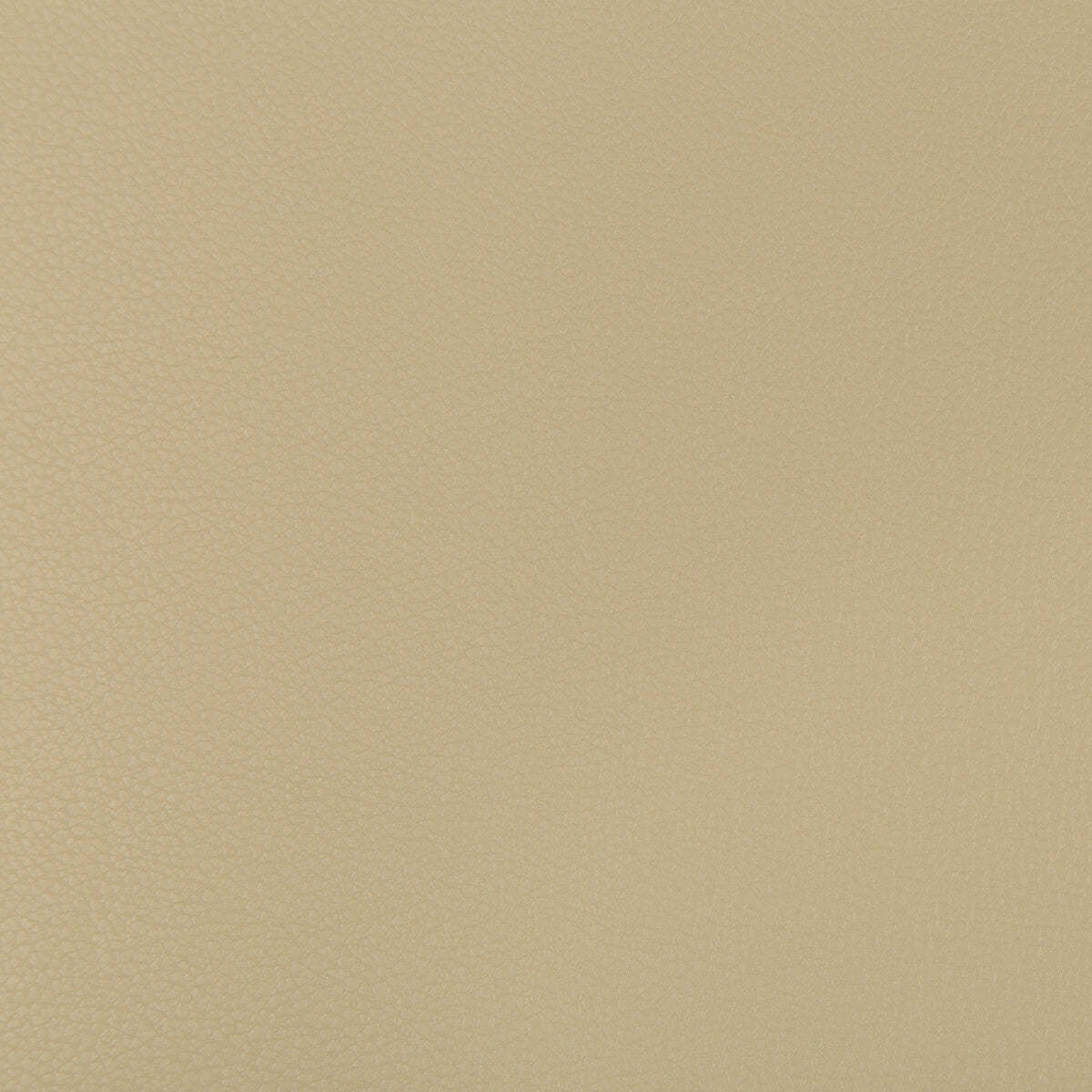 syrus16160-syrus-stucco-kravet-contract