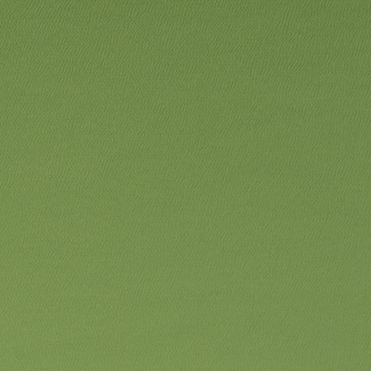 f106226cac0-spectrum-oregano-clarke-and-clarke - CLARKE AND CLARKE Fabric