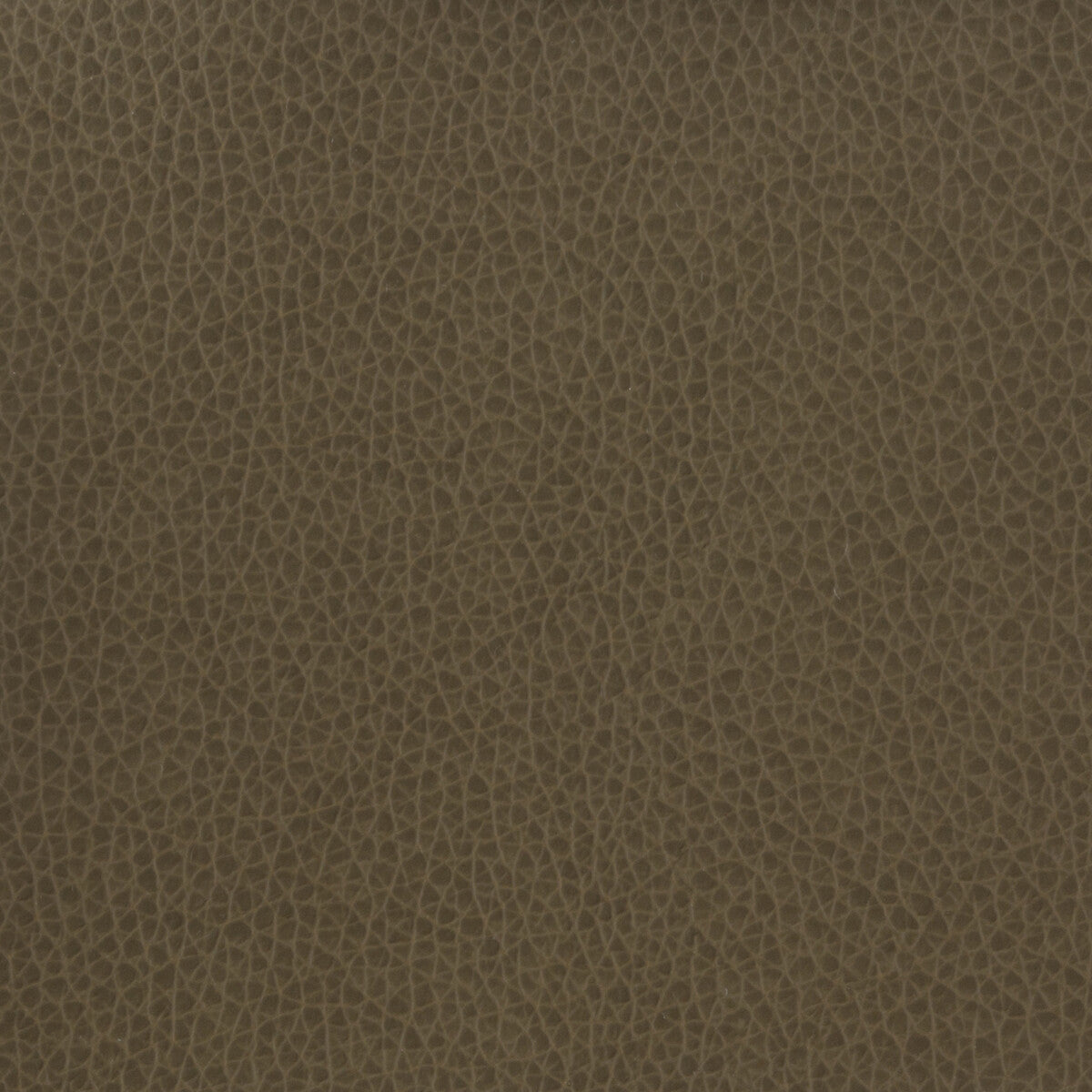 matter210-kravet-basics-matter-21