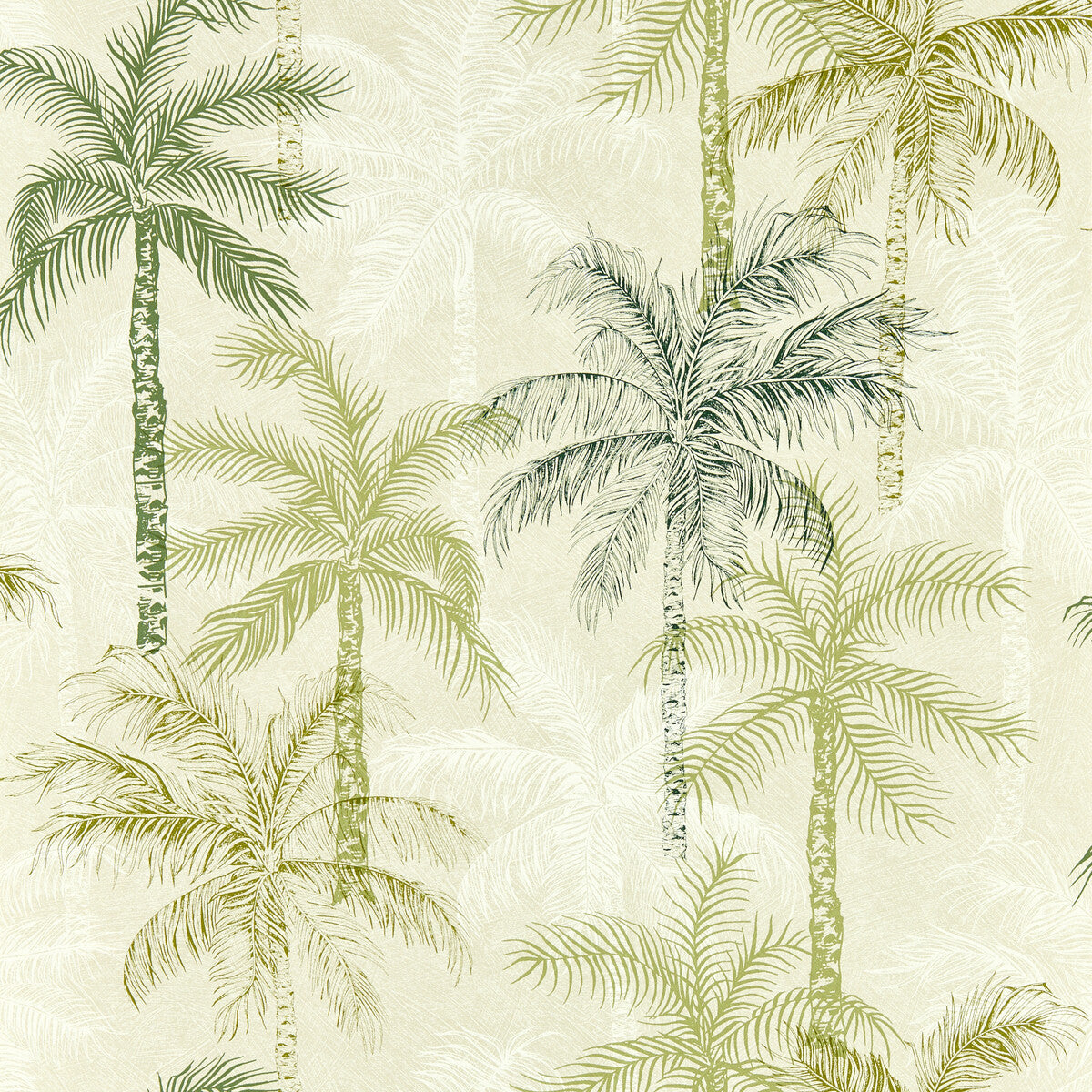 w018904cac0-palmyra-palm-wp-clarke-and-clarke