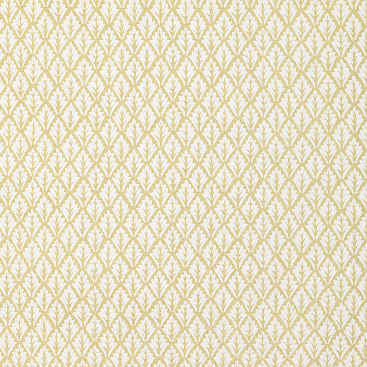 dorso160-dorso-maize-kravet-basics - KRAVET BASICS Fabric