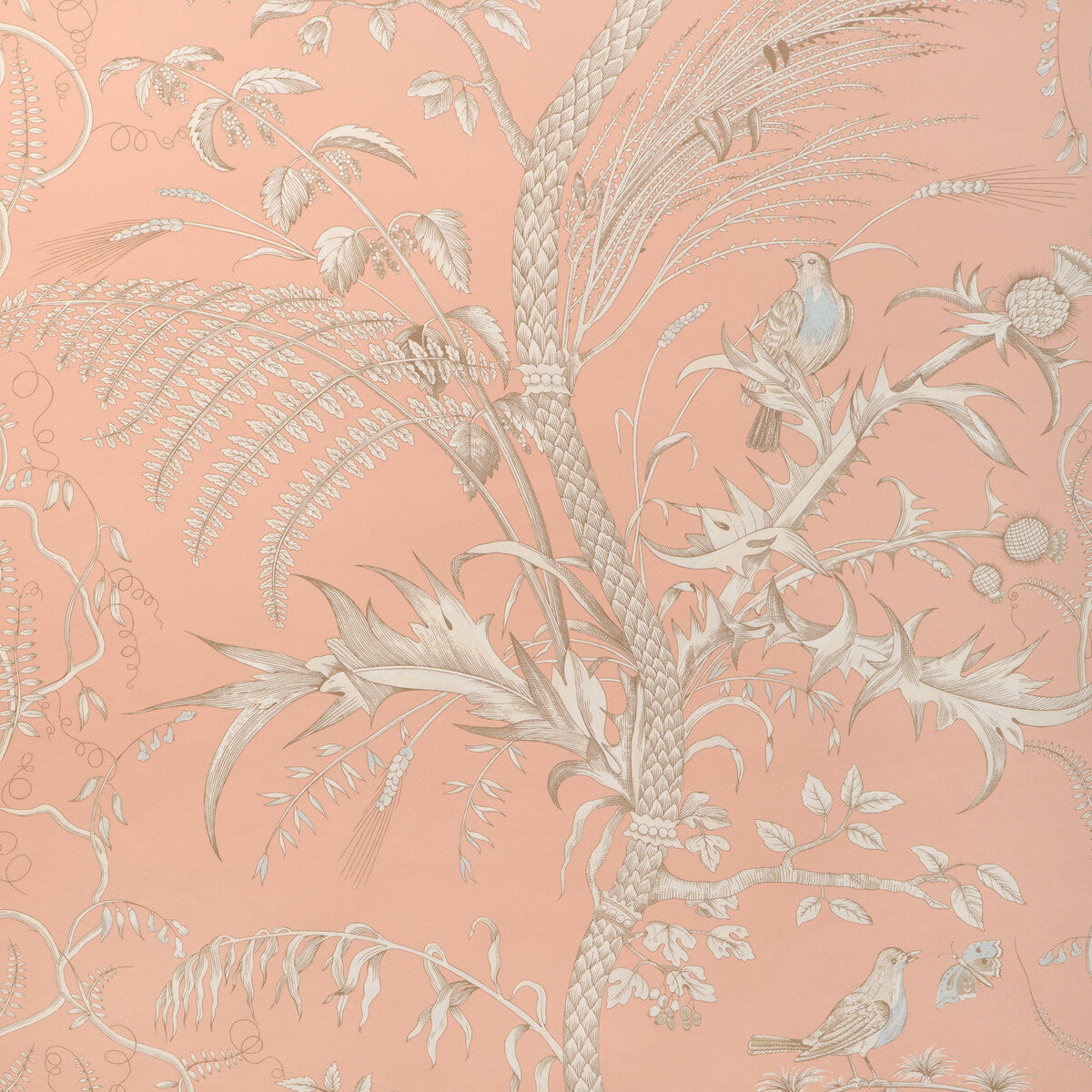 p802410112160-bird-and-thistle-ii-peach-brunschwig-fils