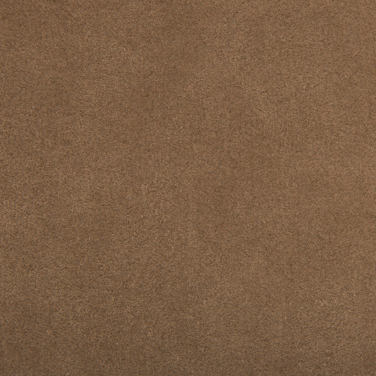 ultrasuede60-ultrasuede-mole-skin-kravet-design - KRAVET DESIGN Fabric