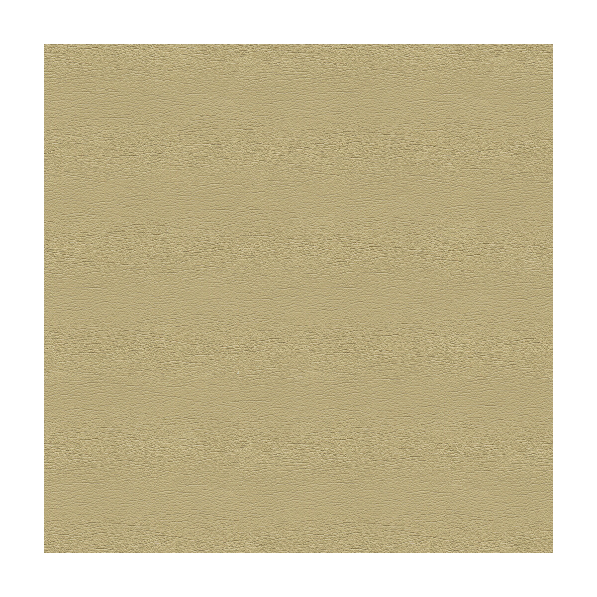cara160-kravet-design-cara-16-kravet-design