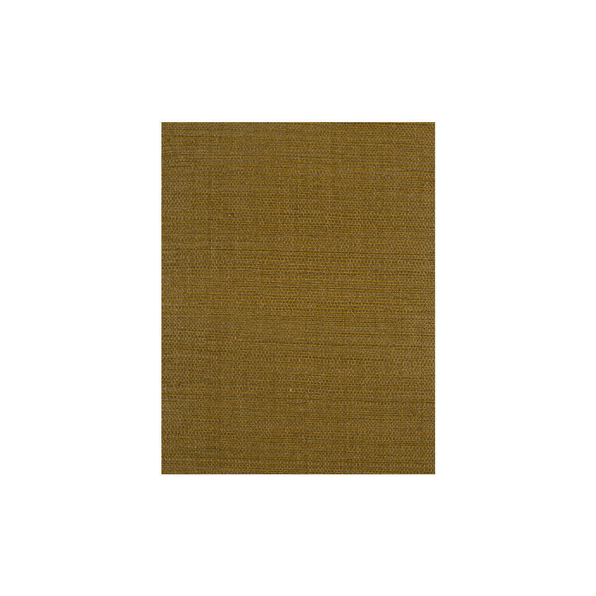 wiw2514wt0-bermuda-mocha-winfield-thybony - WINFIELD THYBONY Wallpaper