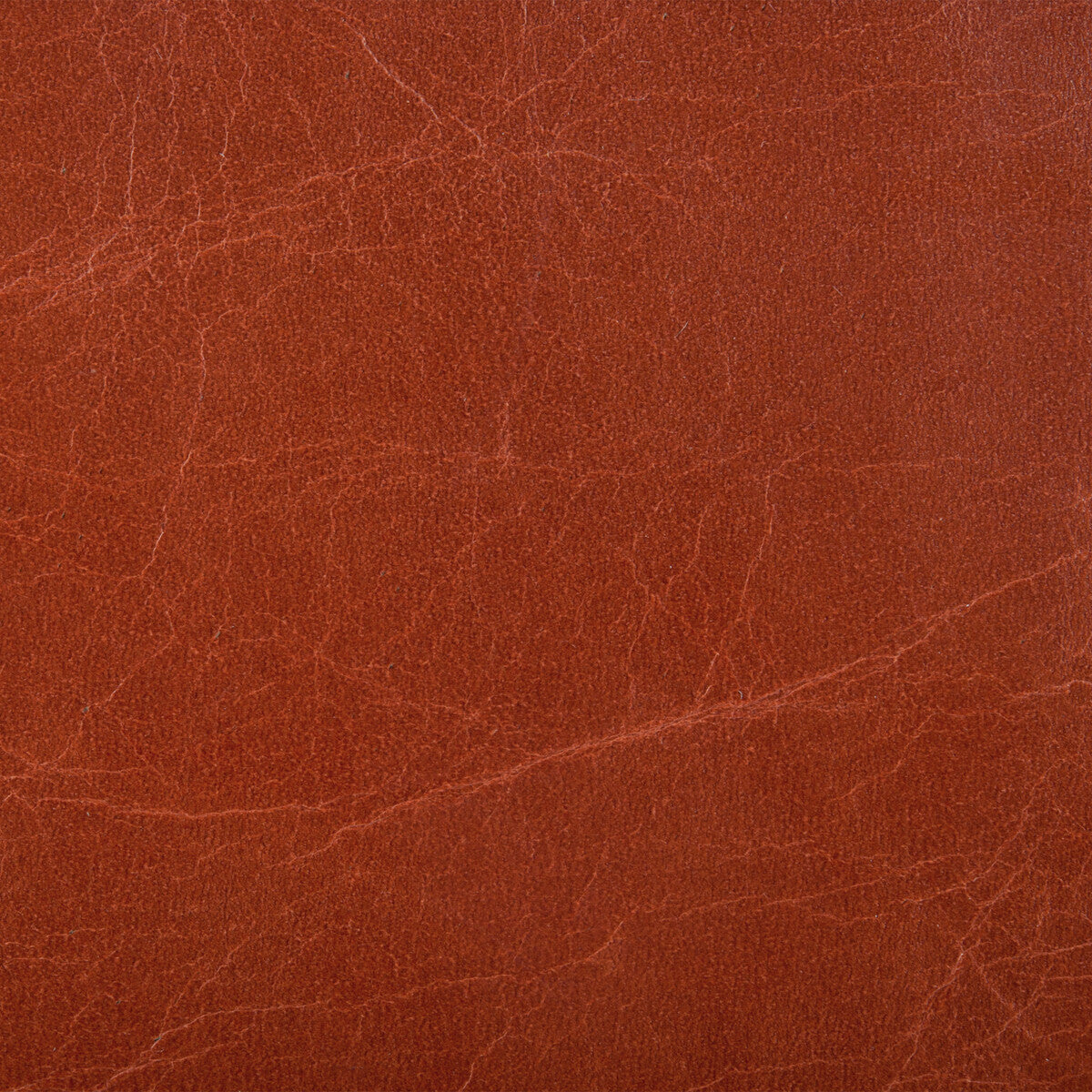 l-hautemadder0-kravet-couture-l-haute-madder-kravet-couture