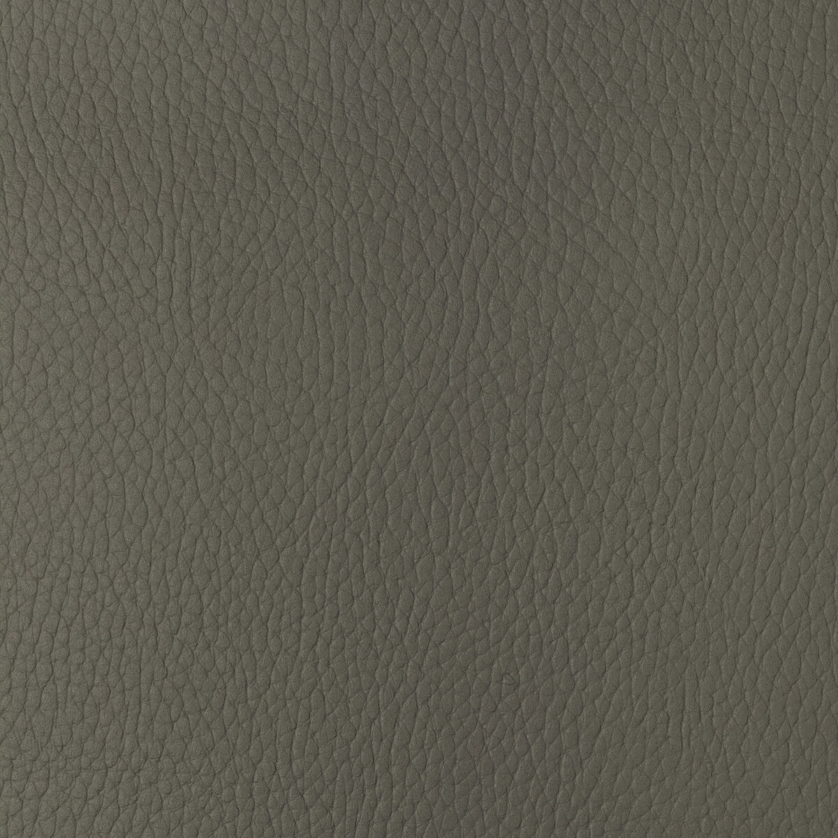 sugarmaple110-kravet-design-sugarmaple-11-kravet-design