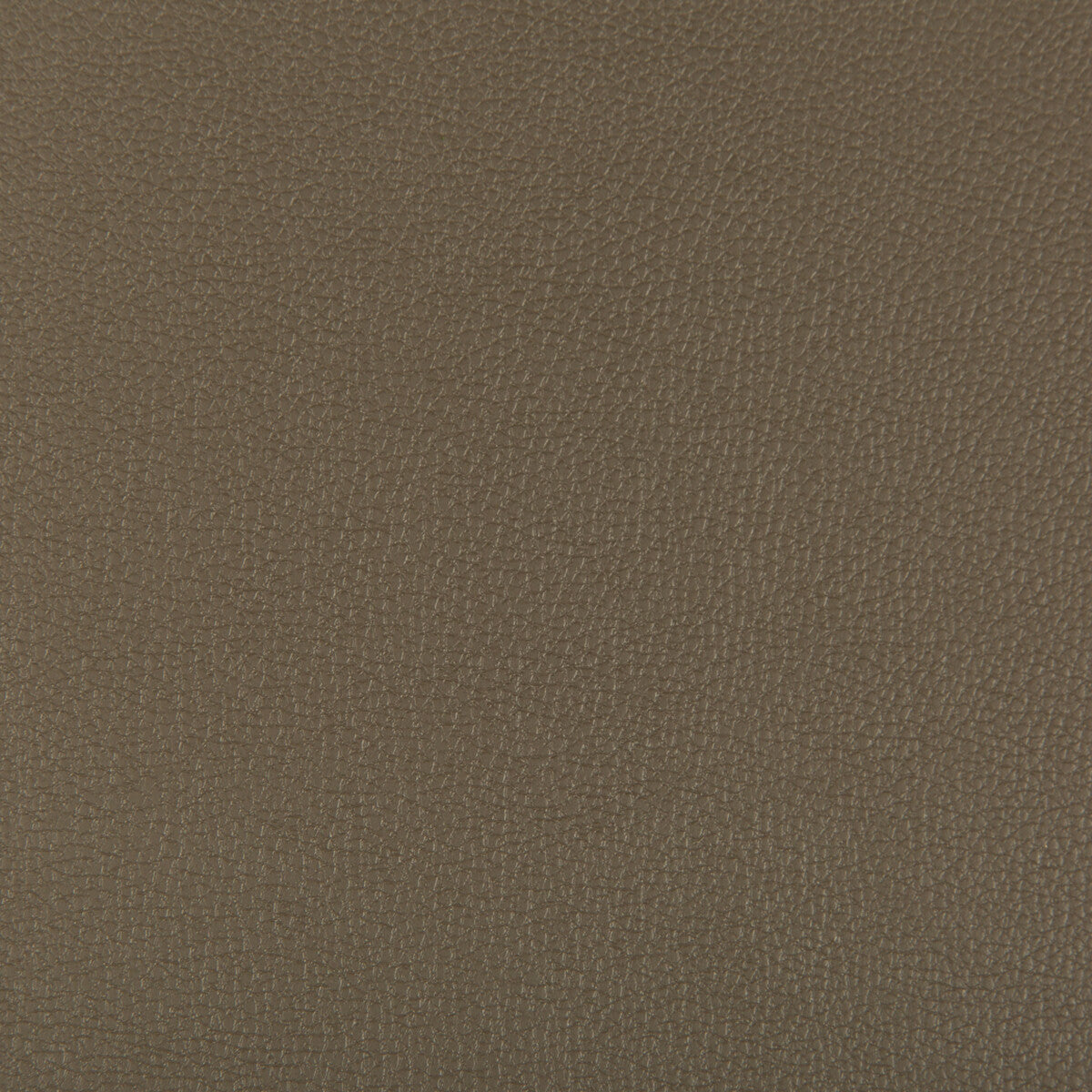 syrus6060-syrus-porcini-kravet-contract