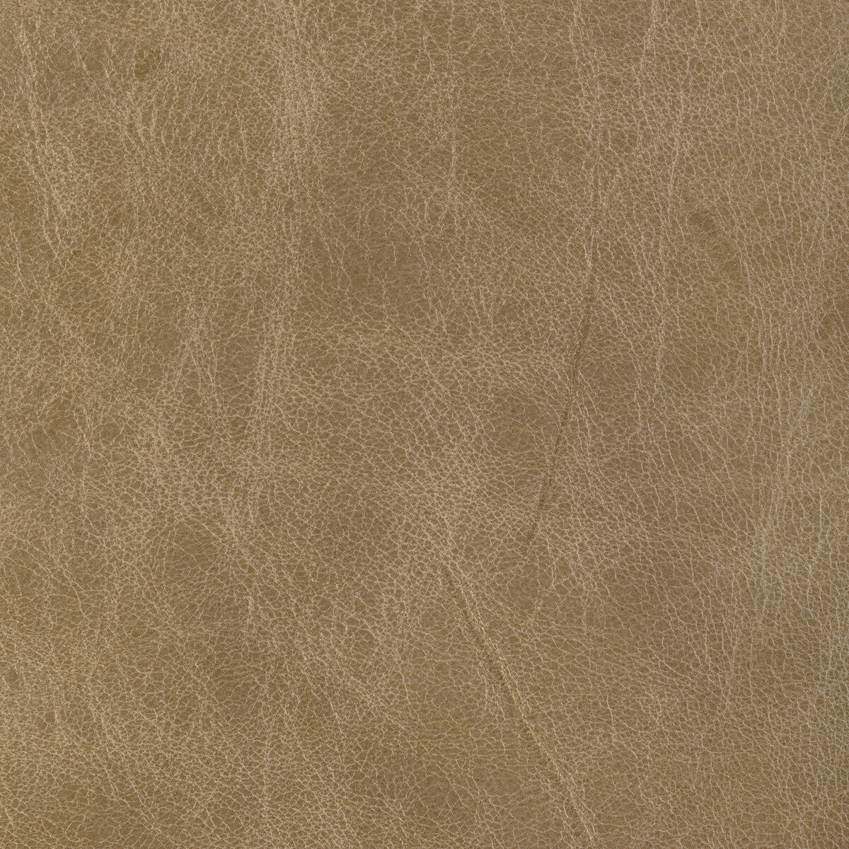 l-brantleytan0-kravet-design-l-brantley-tan-kravet-design
