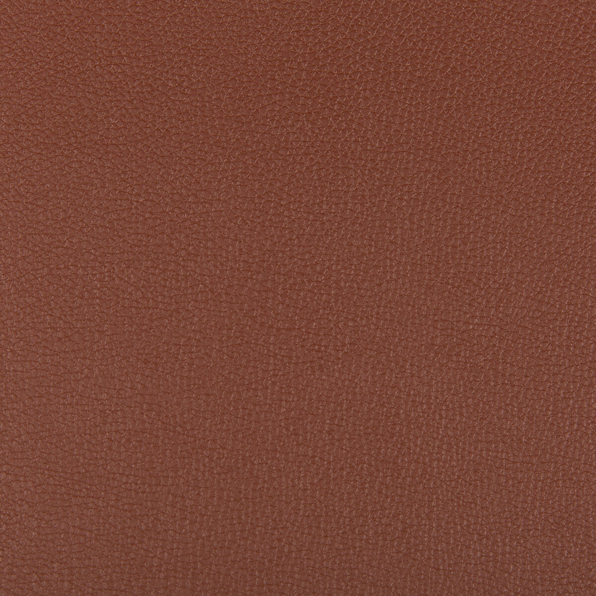 syrus6240-syrus-rootbeer-kravet-contract