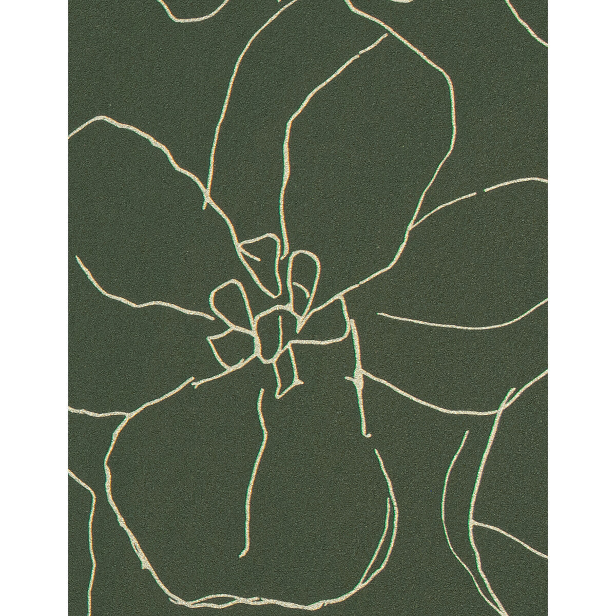 wtn1007wt0-garden-forest-winfield-thybony