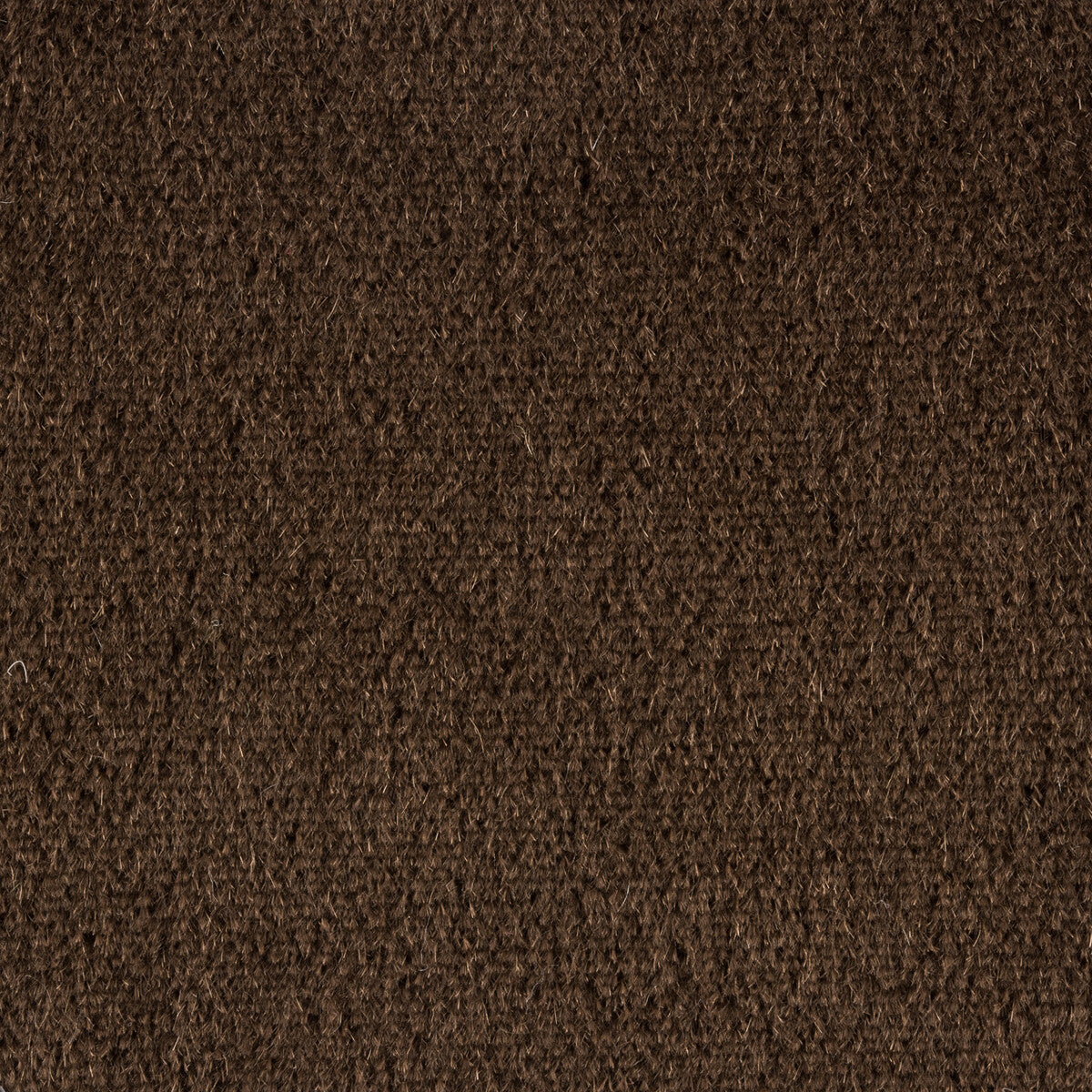 br-897788710-autun-mohair-velvet-grizzli-brunschwig-fils - BRUNSCHWIG & FILS Fabric