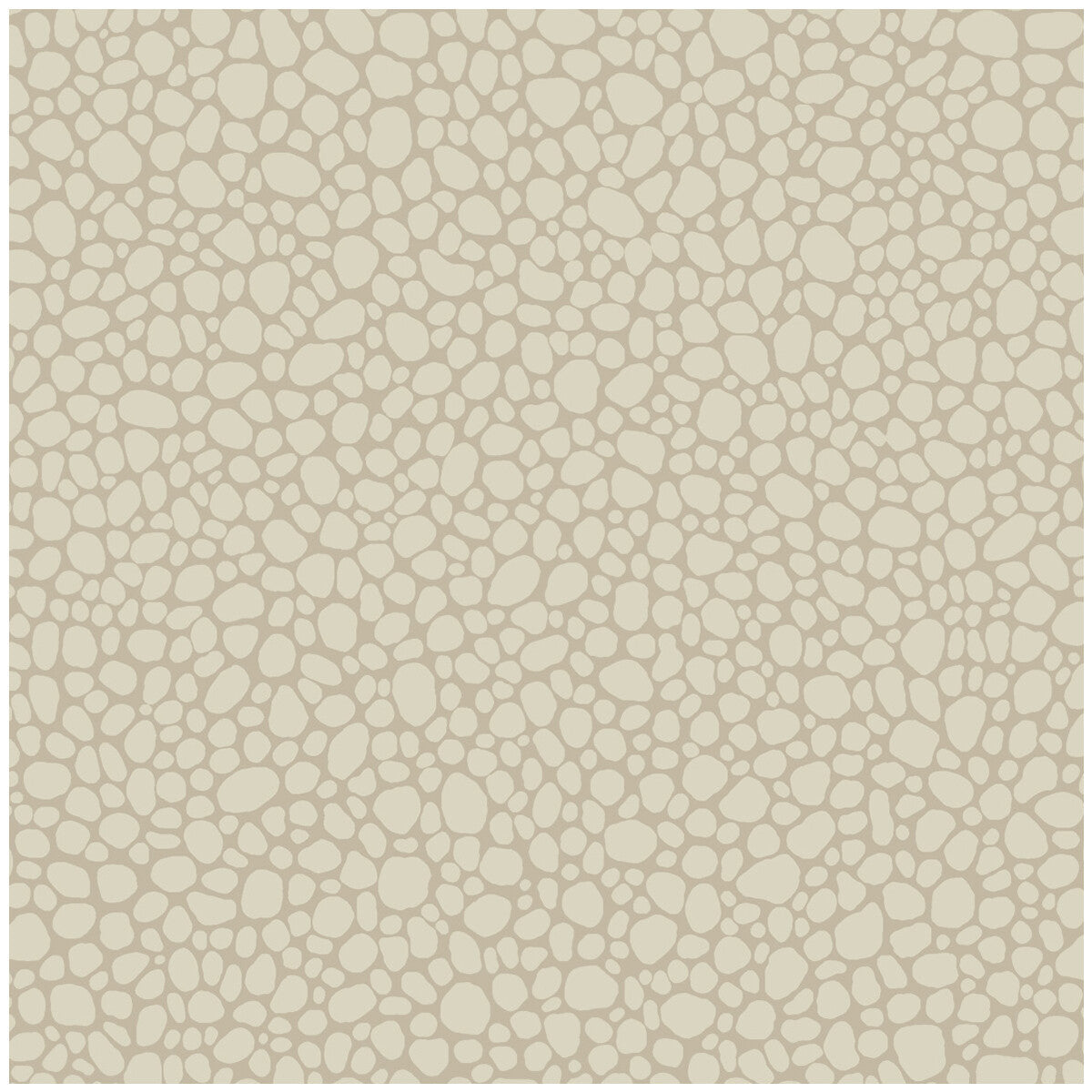 1062022cs0-pebble-parchment-cole-son