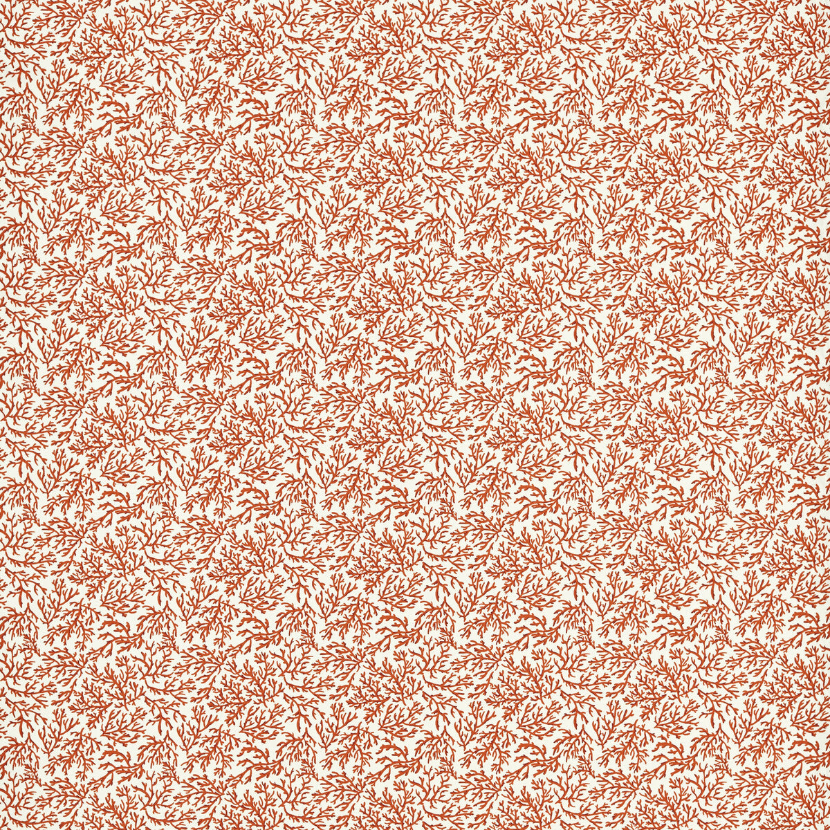 f172902cac0-seabed-coral-clarke-and-clarke