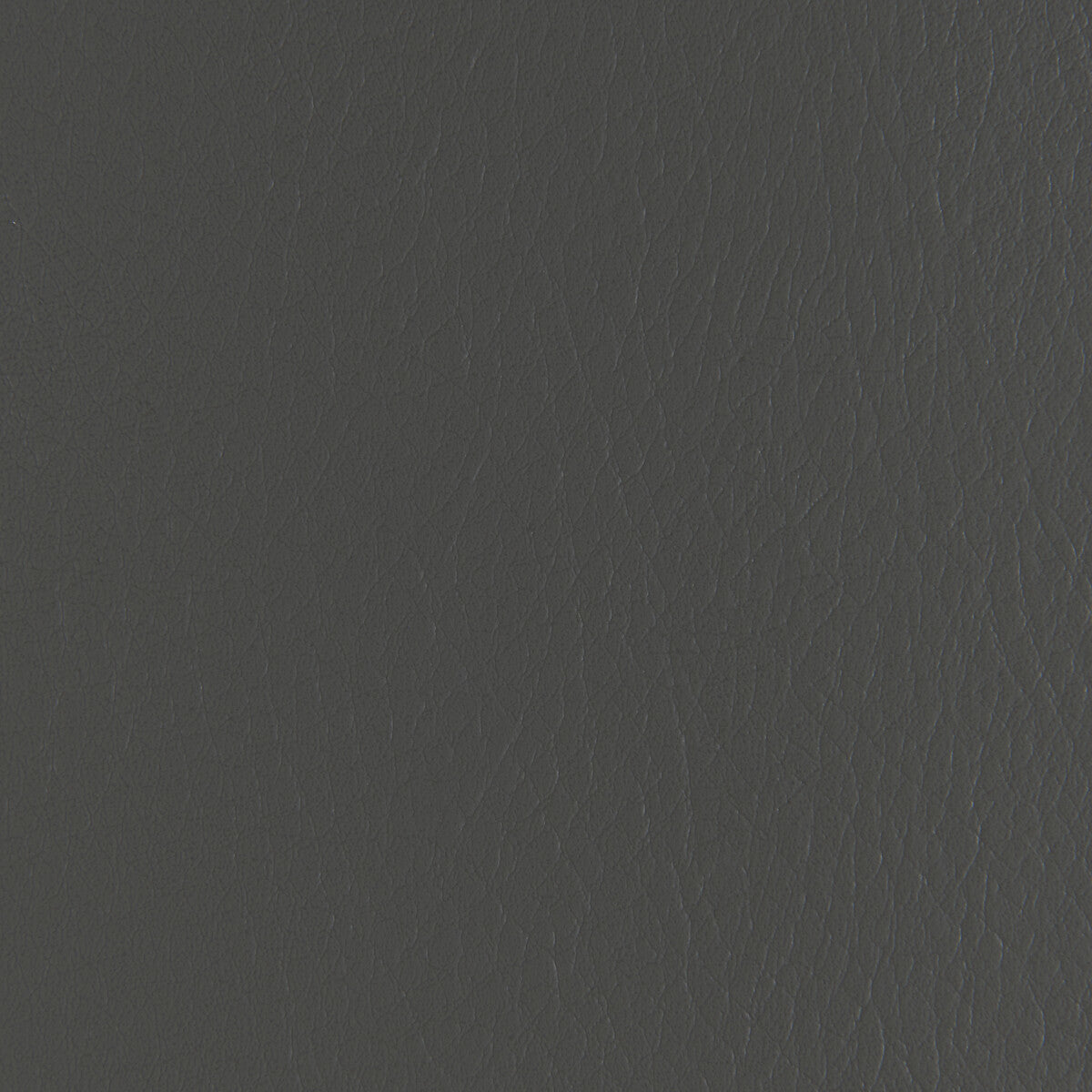 forza11210-forza-thunder-kravet-contract