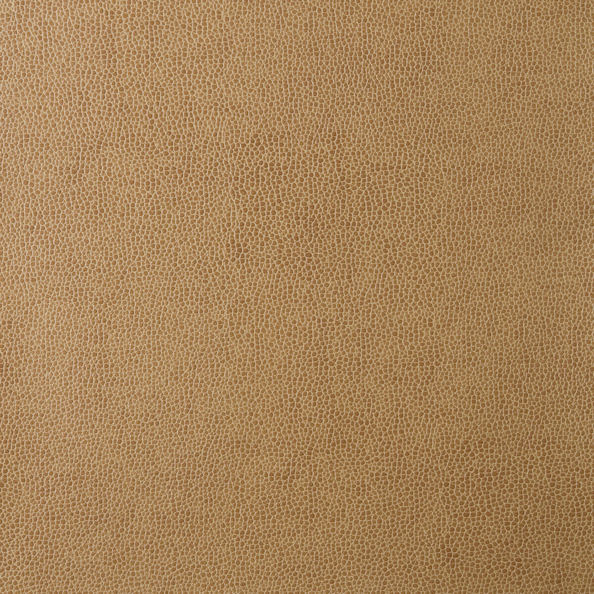 sparta160-kravet-design-sparta-16-kravet-design