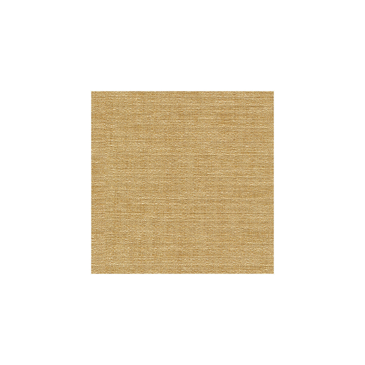 9789160-kravet-basics-9789-16