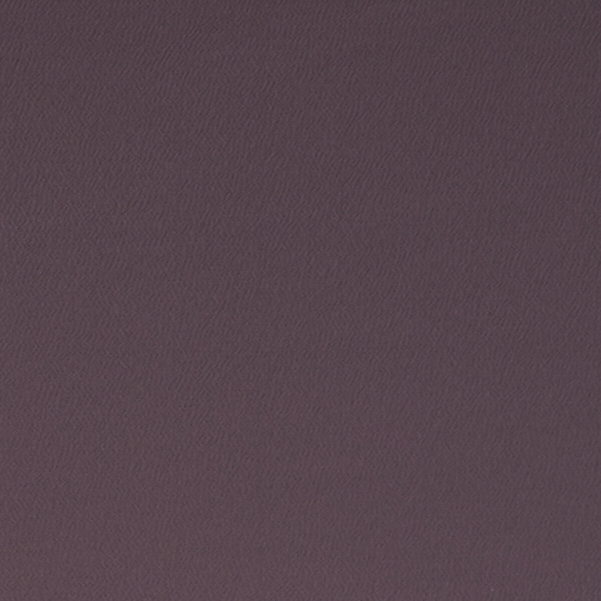 f106208cac0-spectrum-damson-clarke-and-clarke - CLARKE AND CLARKE Fabric