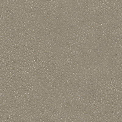 edgy-shark210-edgy-shark-nickel-kravet-couture - KRAVET COUTURE Fabric