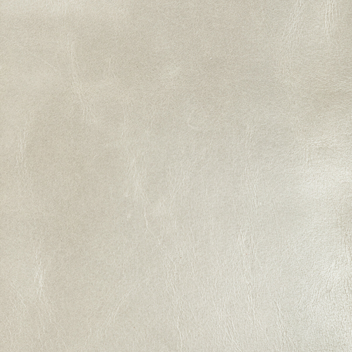 l-chanteyfossil0-kravet-design-l-chantey-fossil-kravet-design