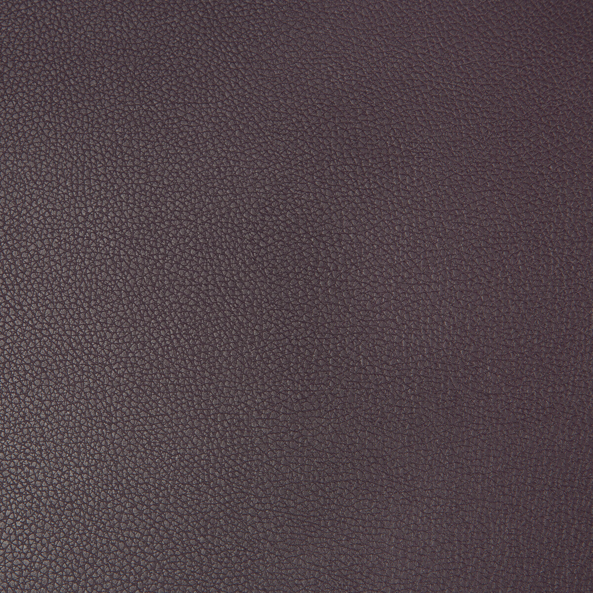 syrus10190-syrus-eggplant-kravet-contract