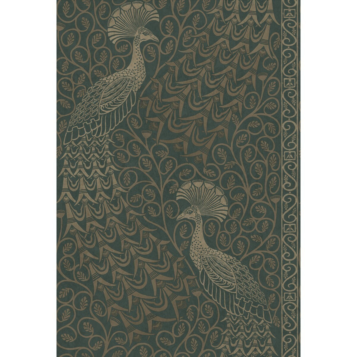 1168031cs0-pavo-parade-mgilvergreen-cole-son