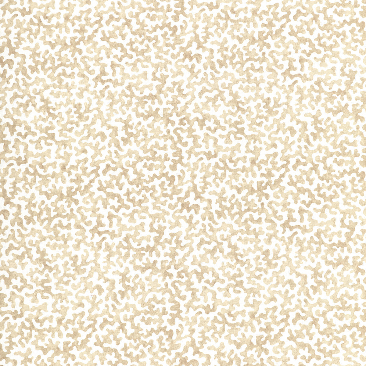 coralcoast1610-coralcoast-sand-kravet-basics