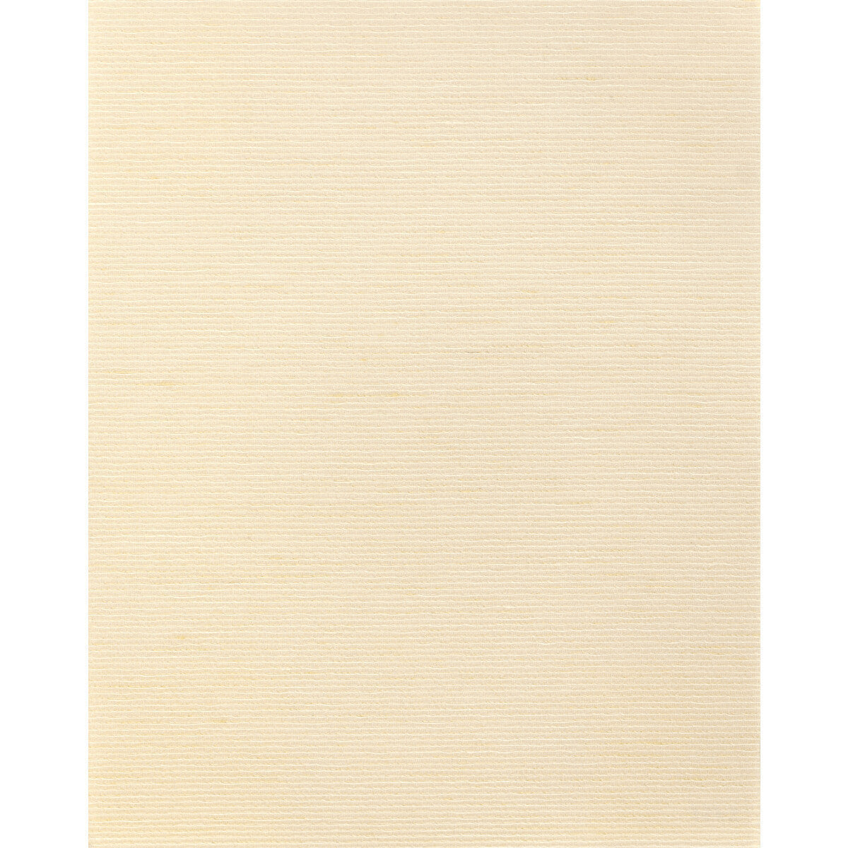 wns5585wt0-althea-plain-champagne-winfield-thybony - WINFIELD THYBONY Wallpaper