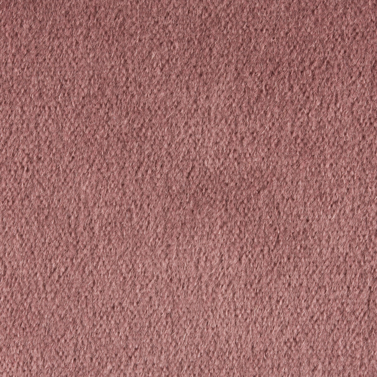 br-897787010-autun-mohair-velvet-heather-brunschwig-fils - BRUNSCHWIG & FILS Fabric