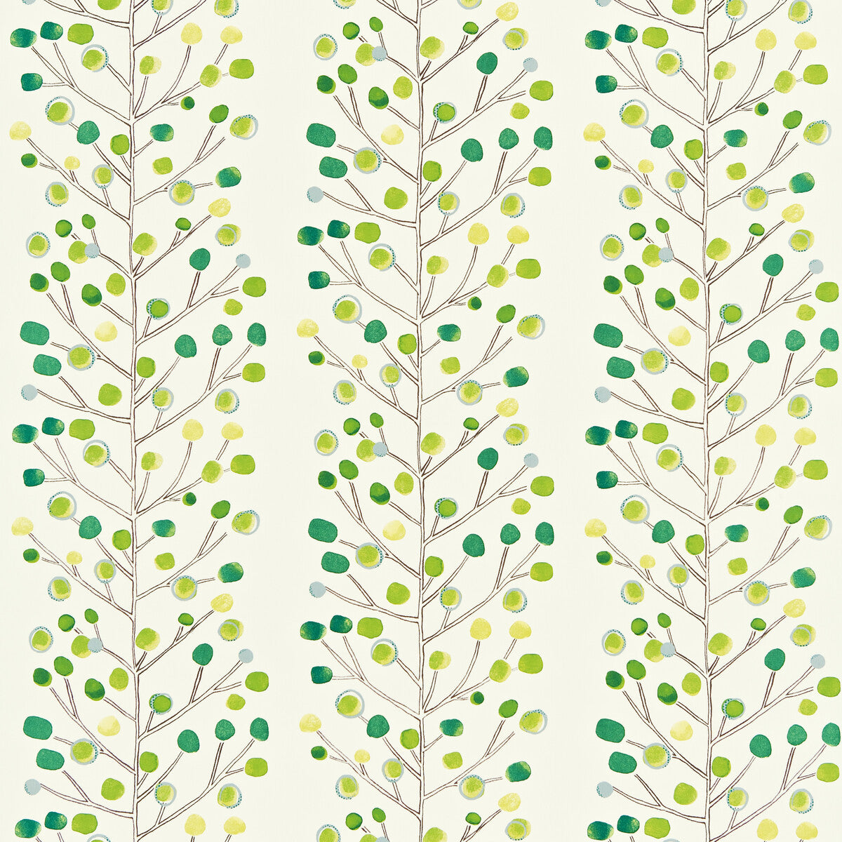 nmel120051scn0-berry-tree-emeraldlimechalk-scion