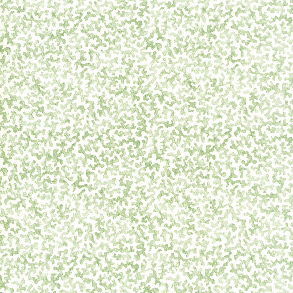 coralcoast300-coralcoast-sage-kravet-basics - KRAVET BASICS Fabric
