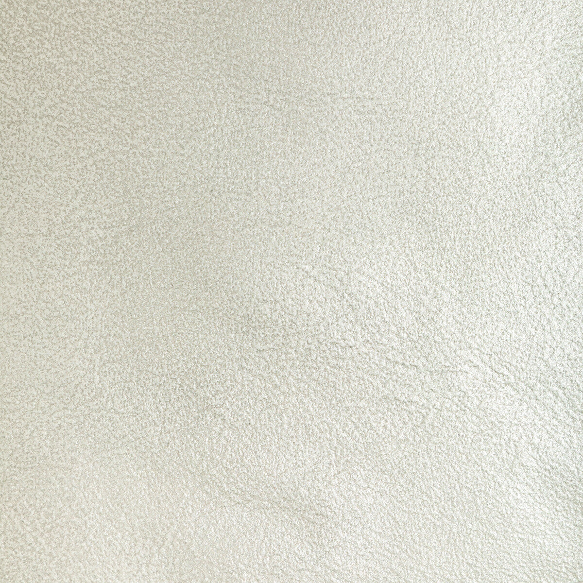 l-lustersilver0-l-luster-silver-kravet-couture