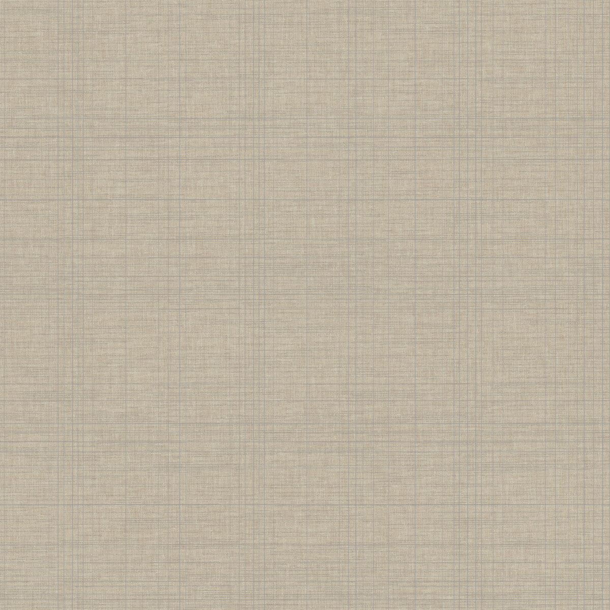 whf3686wt0-tannin-trace-mica-winfield-thybony - WINFIELD THYBONY Wallpaper