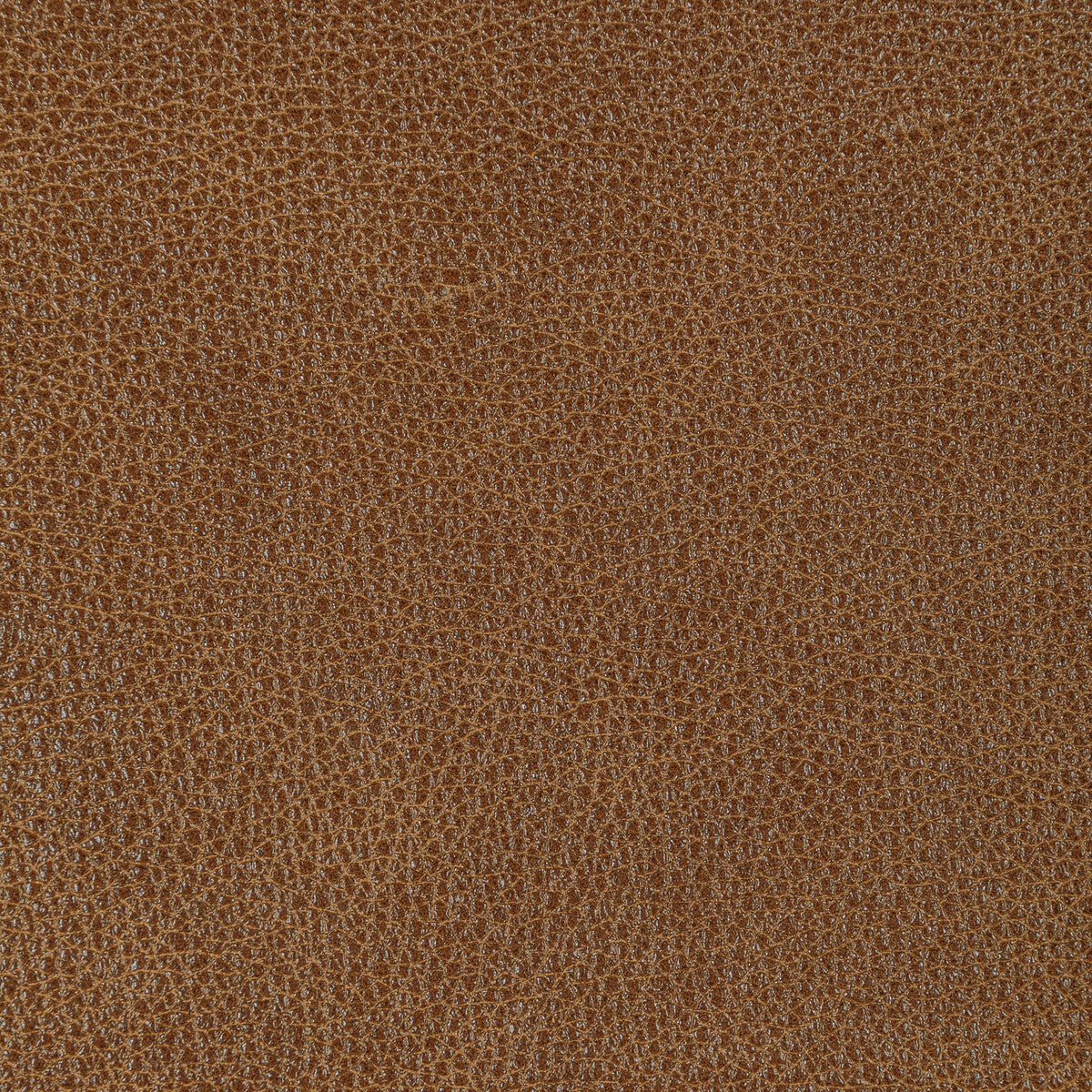 l-bisonpecan0-kravet-design-l-bison-pecan-kravet-design