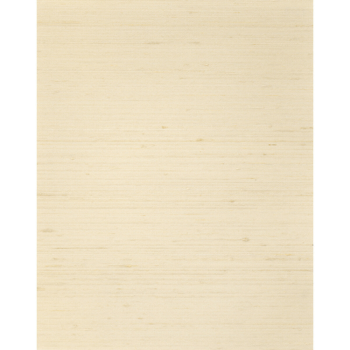 wns5569wt0-ambrose-dune-winfield-thybony - WINFIELD THYBONY Wallpaper