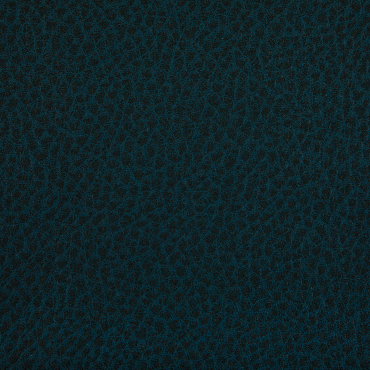 woolf5050-woolf-ink-kravet-contract