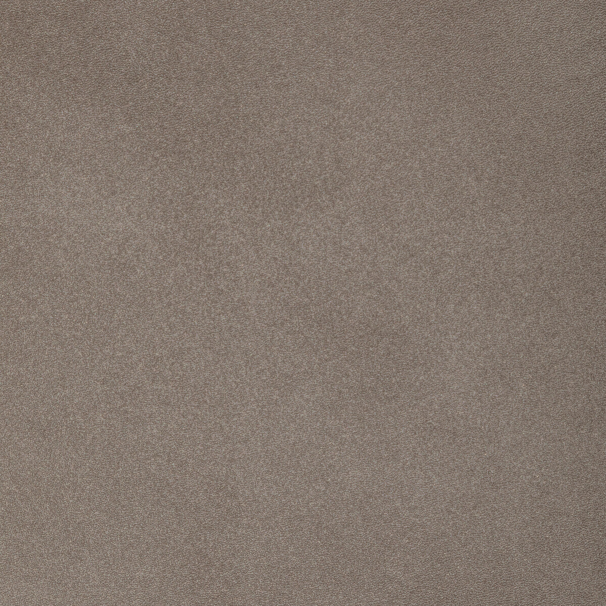 l-saharamushroom0-kravet-design-l-sahara-mushroom-kravet-design