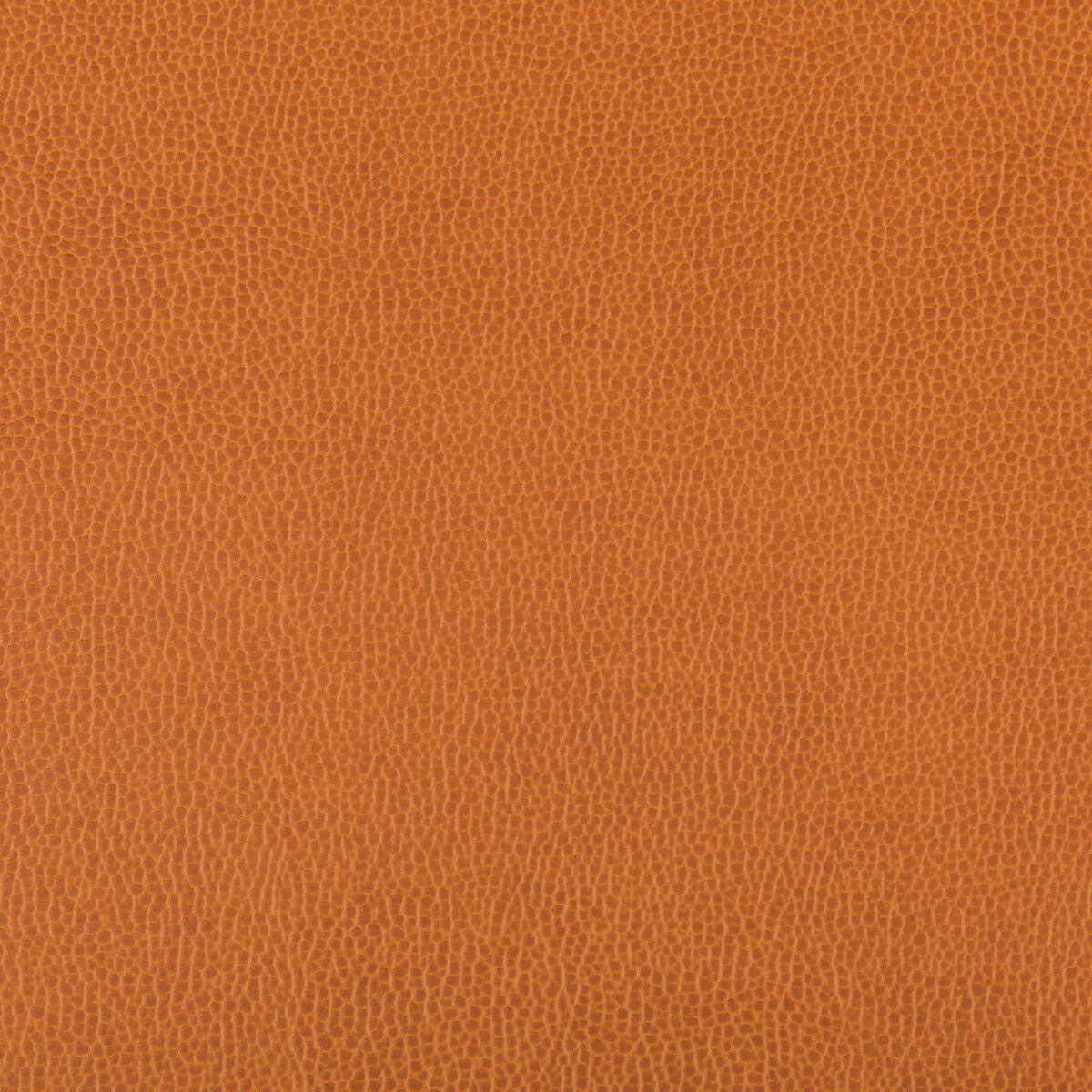 lenox4240-lenox-marmalade-kravet-contract