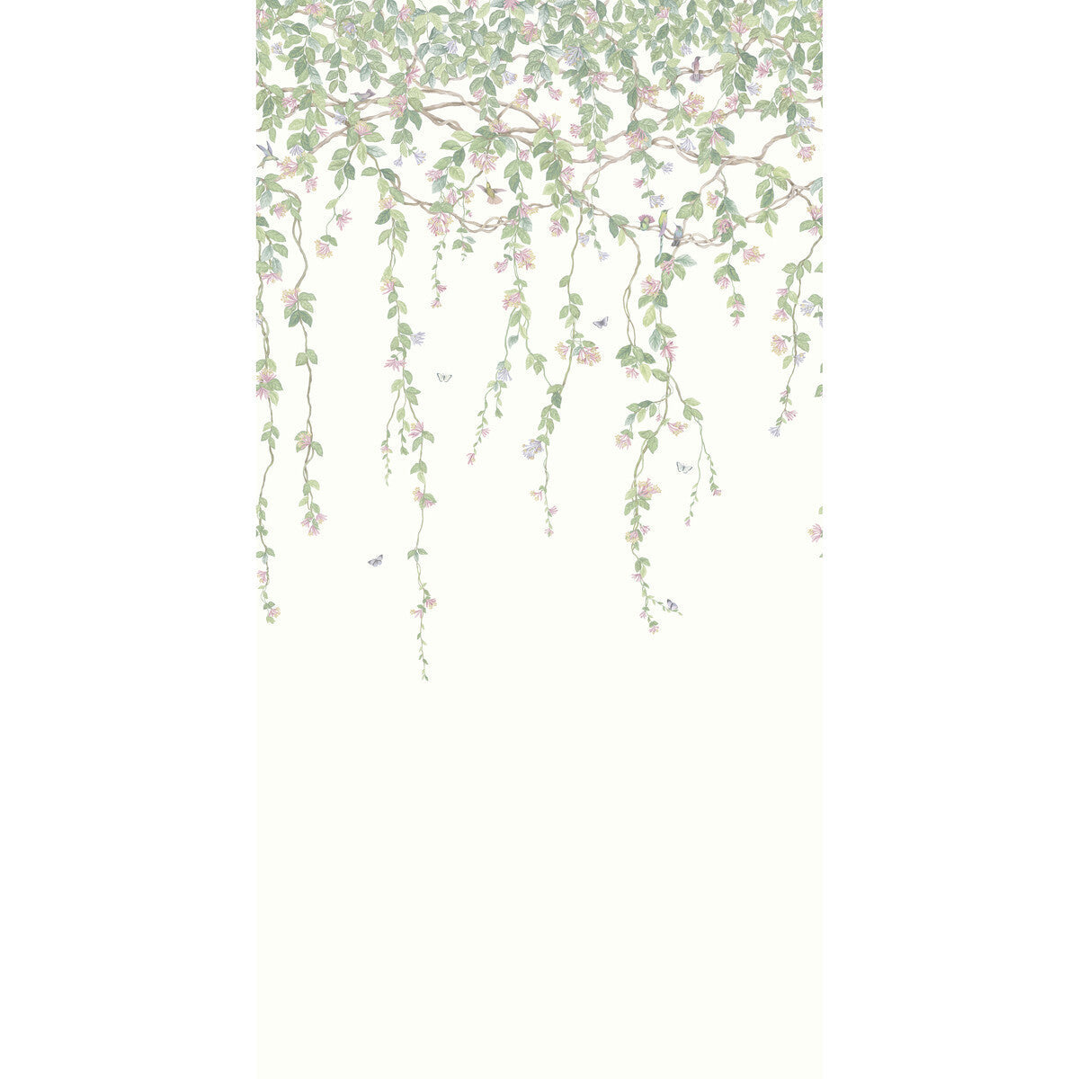 1242008cs0-hummingbirds-flora-blush-cole-son